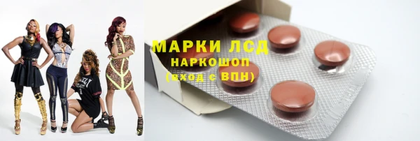 PSILOCYBIN Алзамай