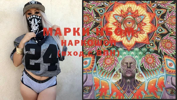 индика Сафоново