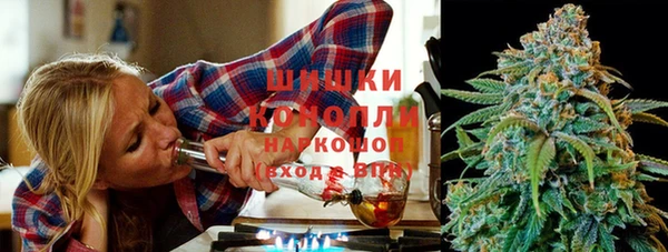 PSILOCYBIN Алзамай
