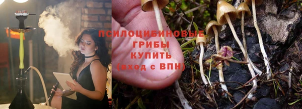 PSILOCYBIN Алзамай