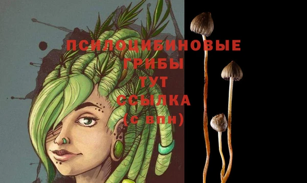 PSILOCYBIN Алзамай