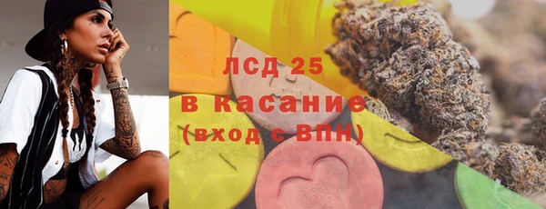 PSILOCYBIN Алзамай