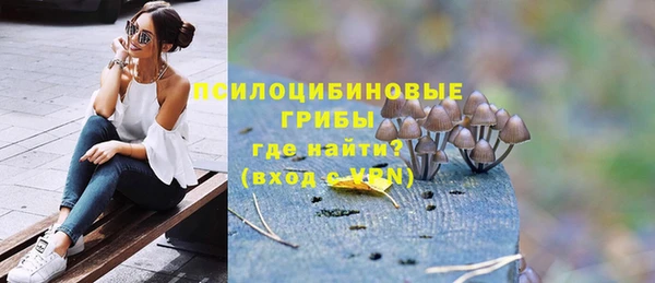 амф Сатка