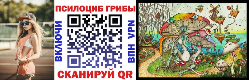 Галлюциногенные грибы мицелий  Зеленоградск 
